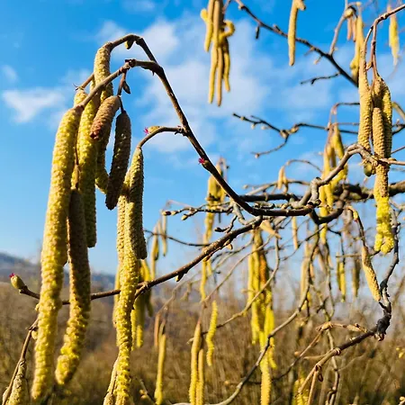 Cascina Piandamiane, Sostenibile E Charme D'epoca Nella Natura Delle Langhe 別荘 *