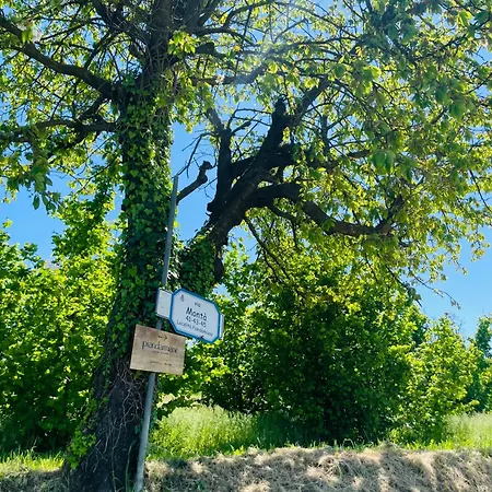 Cascina Piandamiane, Sostenibile E Charme D'epoca Nella Natura Delle Langhe *