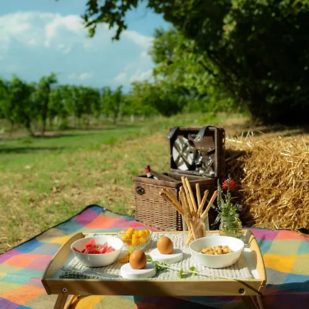 Cascina Piandamiane, Dimore Di Langa - Elvira, Nella Natura Delle Langhe * Rodello