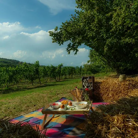 Prázdninový dům Cascina Piandamiane, Dimore Di Langa - Elvira, Nella Natura Delle Langhe