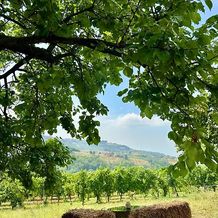 Prázdninový dům Cascina Piandamiane, Dimore Di Langa - Elvira, Nella Natura Delle Langhe Rodello